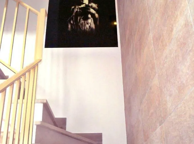 Wonder * אלבופיירה